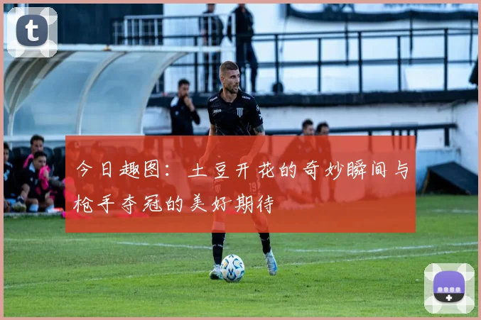 今日趣图：土豆开花的奇妙瞬间与枪手夺冠的美好期待