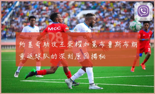 约基奇助攻王荣耀加冕布鲁斯布朗重返球队的深刻原因揭秘