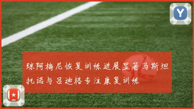 琼阿梅尼恢复训练进展显著马斯坦托诺与吕迪格专注康复训练